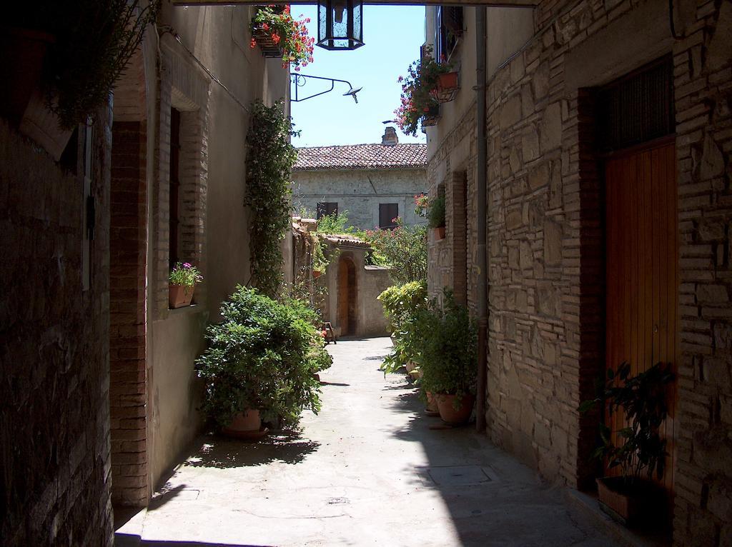 בוואניה Hotel Palazzo Brunamonti מראה חיצוני תמונה